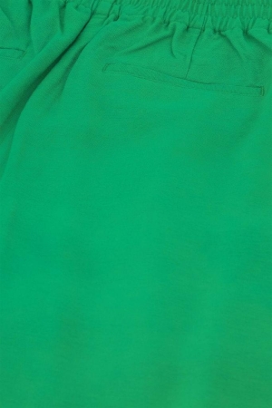 Fabienne Chapot Fabienne Chapot neale trousers clt-279-trs-ss24 Broek 4313 grass is greener