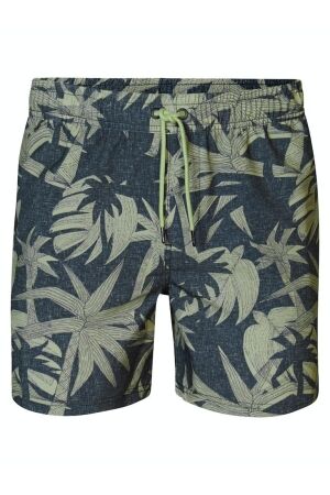 Petrol Petrol m-1040-sws953 swimshort Zwembroek 6158 sage green