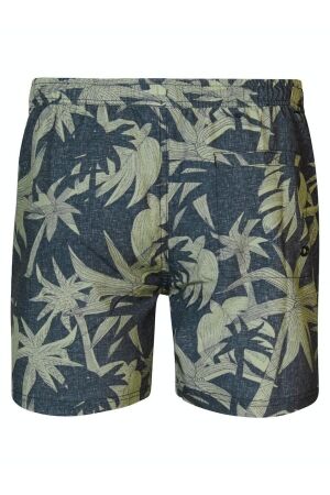 Petrol Petrol m-1040-sws953 swimshort Zwembroek 6158 sage green