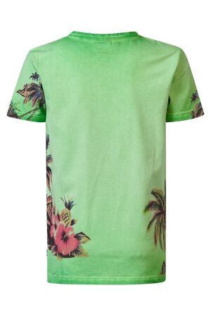 Petrol Petrol m-1040-tsr673 t-shirt ss Print T-shirts 6159 pistache