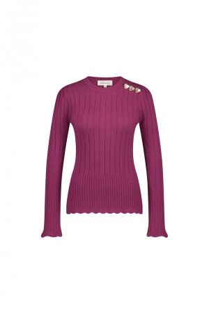 Fabienne Chapot Fabienne Chapot banda pullover clt-pul-22-aw24-7615 Trui 7615 raspberry