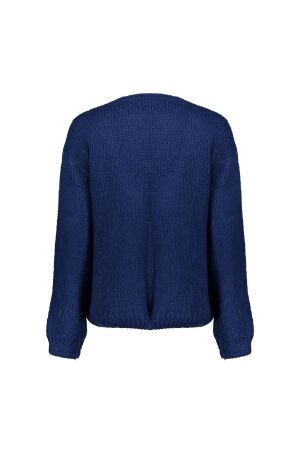 Geisha Geisha cardigan basic 44585-70 Vest 675 navy