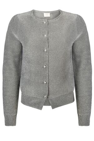 Aaiko Aaiko beth vis 322 Vest 9 silver