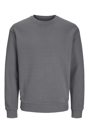 Jack & Jones Jack & Jones jjebradley sweat crew noos 12249341 Sweater castlerock