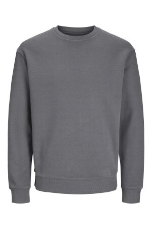 Jack & Jones Jack & Jones jjebradley sweat crew noos 12249341 Sweater castlerock