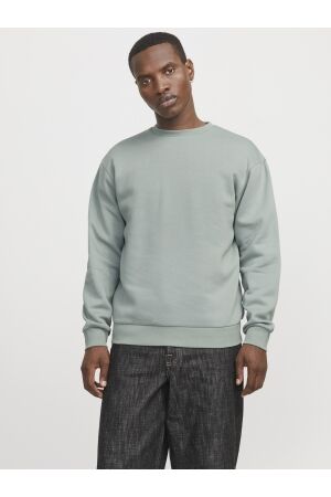Jack & Jones Jack & Jones jjebradley sweat crew noos 12249341 Sweater iceberg green