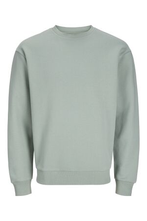Jack & Jones Jack & Jones jjebradley sweat crew noos 12249341 Sweater iceberg green