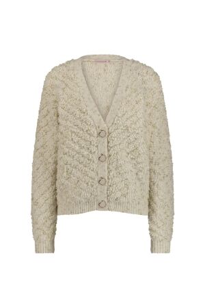 Studio Anneloes Studio Anneloes iris chunky glitter cardigan 12026 Vest 1400 kit