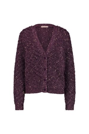 Studio Anneloes Studio Anneloes iris chunky glitter cardigan 12026 Vest 3800 blackberry