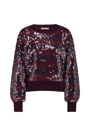 Studio Anneloes Studio Anneloes lilly sequins pullover 12025 Trui 3836 blackberry/merlot
