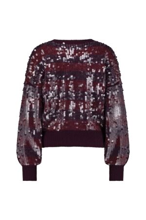Studio Anneloes Studio Anneloes lilly sequins pullover 12025 Trui 3836 blackberry/merlot
