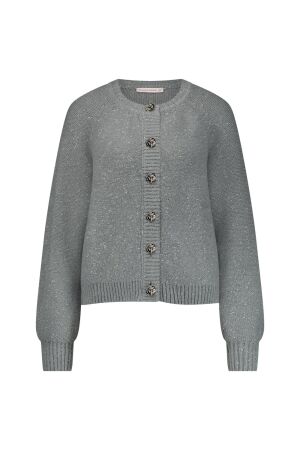 Studio Anneloes Studio Anneloes kaya cardigan 12163 Vest 9100 light grey