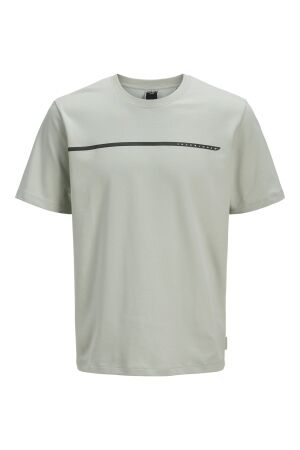 Jack & Jones Jack & Jones jcofusion full branding tee ss crew noos Print T-shirts aqua gray Aqua Gray