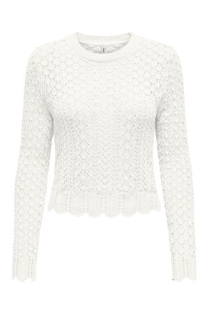 Only Only onlsaga life ls o-neck cc knt Trui cloud dancer