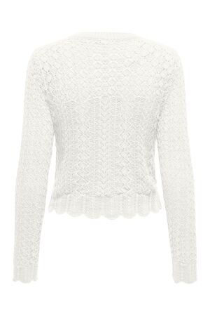 Only Only onlsaga life ls o-neck cc knt Trui cloud dancer