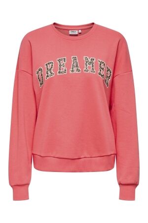 Only Only onljoana l/s leo o-neck cs swt Sweater dubarry dreamer