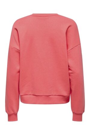Only Only onljoana l/s leo o-neck cs swt Sweater dubarry dreamer