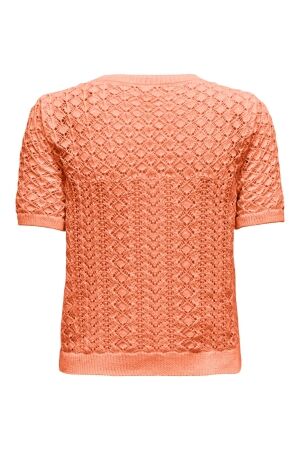 Only Only onlsaga life ss o-neck cc knt Trui korte mouw melon