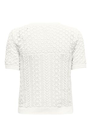 Only Only onlsaga life ss o-neck cc knt Trui korte mouw cloud dancer