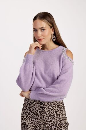 Studio Anneloes Studio Anneloes delphine pullover 12322 Trui 5700 lila