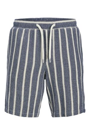 Jack & Jones Jack & Jones jpstjaiden coba stripe jog short srt sn Korte broeken ocean cavern