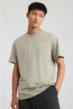 Jack & Jones Jack & Jones jprblachad branding ss crew neck tee sn Basic T-shirts dried sage
