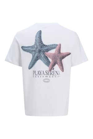 Jack & Jones Jack & Jones jorcanggu illu tee ss crew neck Print T-shirts bright white