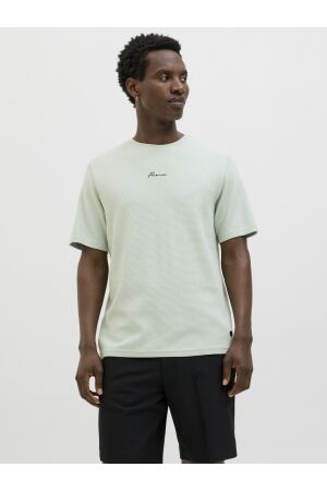 Jack & Jones Jack & Jones jprblafranco ss tee crew neck ln Print T-shirts aqua gray