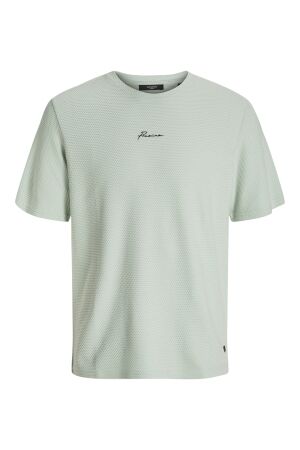 Jack & Jones Jack & Jones jprblafranco ss tee crew neck ln Print T-shirts aqua gray