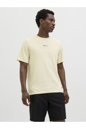 Jack & Jones Jack & Jones jprblafranco ss tee crew neck ln Print T-shirts cloud cream