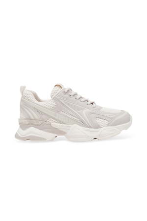 STEVE MADDEN STEVE MADDEN speedster-e sneaker sm19000122 Sneakers svc silver coin