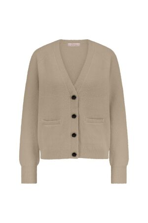 Studio Anneloes Studio Anneloes haya mink cardigan 12492 Vest 2200 latte