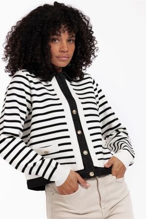 Studio Anneloes Studio Anneloes norelli stripe denim jacket 12487 Jackets 1190 off white/black