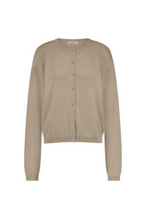Studio Anneloes Studio Anneloes bibi cashmere cardigan 12500 Vest 2200 latte