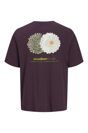 Jack & Jones Jack & Jones jjrody tee ss crew neck Print T-shirts plum perfect