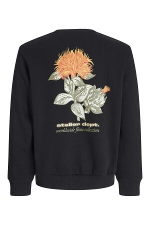 Jack & Jones Jack & Jones jjrody sweat crew neck Sweater black