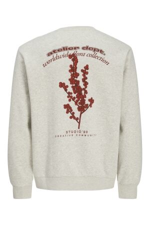 Jack & Jones Jack & Jones jjrody sweat crew neck Sweater white melange