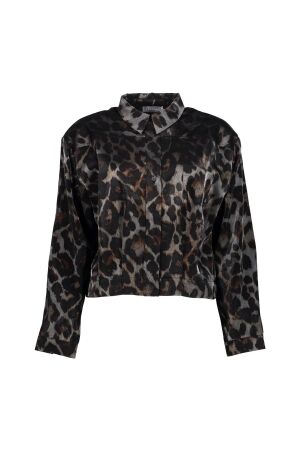 Geisha Geisha jacket animal 55723-20 Jackets 925 grey/bronze
