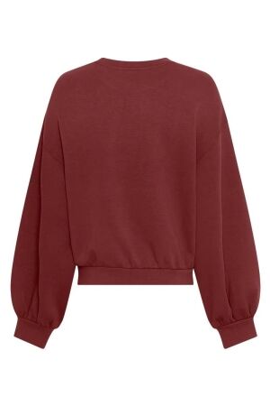 MSCH Copenhagen MSCH Copenhagen mschbrionna ima q sweatshirt 19536 Trui syrah