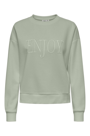 Only Only onlpam l/s o-neck box cc swt Sweater 4852791 desert sage w. enjoy