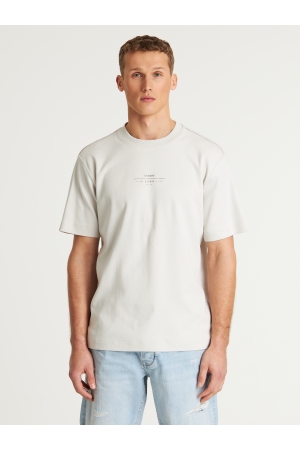 Chasin Chasin t-shirt ss r-neck e81 - l.grey