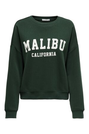 Only Only onlsweat life l/s crew o.size state noos Sweater pine grove malibu california