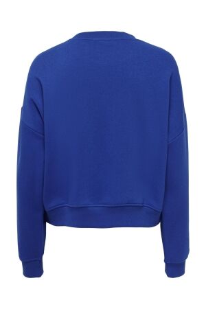 Only Only onlsweat life l/s crew o.size state noos Sweater surf the web