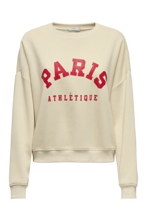 Only Only onlsweat life l/s crew o.size state noos Sweater birch