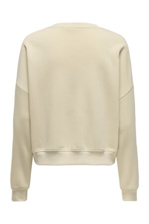 Only Only onlsweat life l/s crew o.size state noos Sweater birch