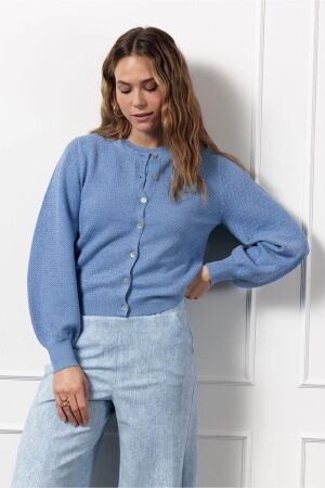 Studio Anneloes Studio Anneloes tommy twinset cardigan 12712 Vest 6000 mid blue
