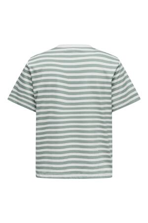 Only Only onllivina s/s stripe tee jrs noos T-shirt Korte mouw jadeite white stripes