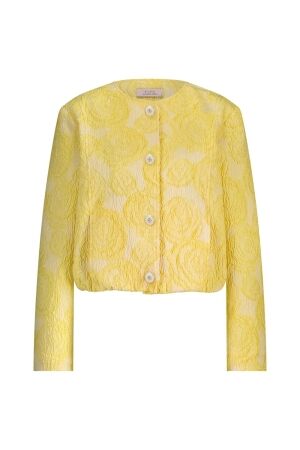 Studio Anneloes Studio Anneloes wies jacquard jacket 12767 Jackets 2000 golden yellow