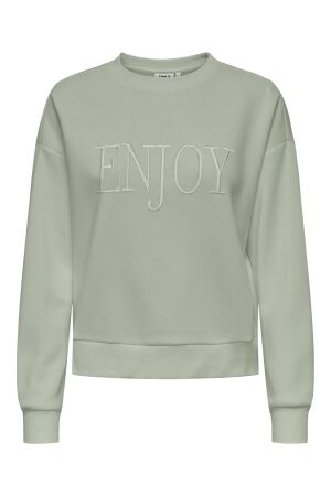 Only Only onlpam l/s o-neck box cc swt Sweater 4852791 desert sage w. enjoy