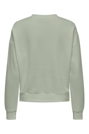 Only Only onlpam l/s o-neck box cc swt Sweater 4852791 desert sage w. enjoy